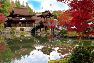 create relaxing, spa, yoga, nature meditation music video