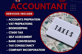do bookkeeping tax services and financial management ct600