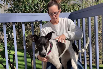 create an engaging video showcasing your pet product using my dog or cat