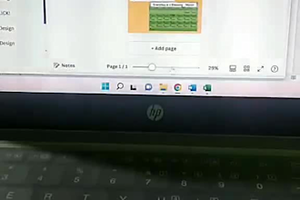 do data entry, I am a data encoder