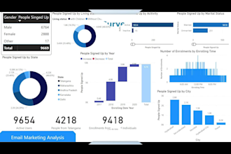 create a professional excel, looker studio, power bi dashboard