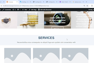 wb developer for wordpress and canva desine anything