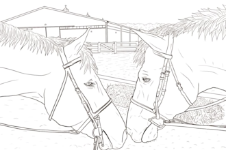 convert or trace any photo into adult coloring book pages