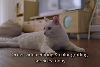 video editing,color grading ,audio editing,subtitle addition