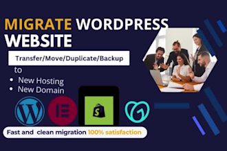 domain transfer, domain pointing, fixing, website transfer, website migration