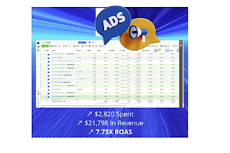manage fb ads manager to run facebook ads campaign