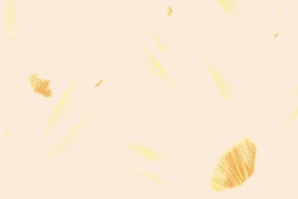 2d anime animation 2d fighting anime 2d animation 2d animated explainer video 2d