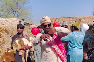 wish happy birthday video or funny african happy birthday video