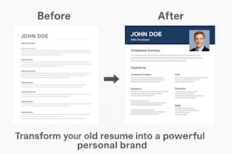 quick cv and cover letter 1  day delivery