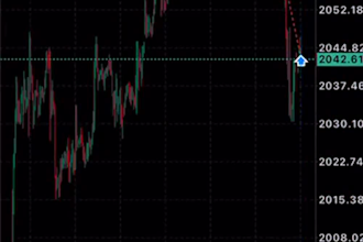 provide forex trading, trading bot, forex trading bot, forex bot, forex ea bot