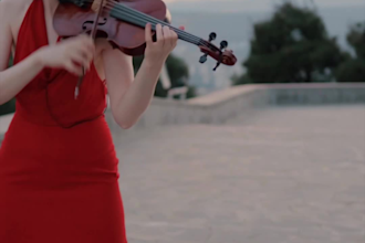 perform live violin show or background music