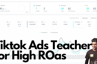 teach you tiktok ads on video call one on one