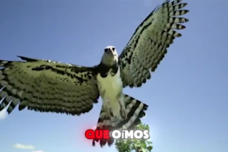 translate and add english or spanish subtitles to your video