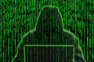 do penetration testing, detect vulnerability and do malware removal