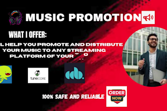help promote and distribute your music to any streaming platform