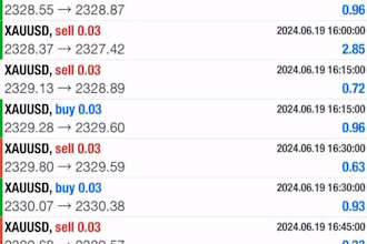 a well set up forex trading bot, crypto trading bot, forex trading robot, ea