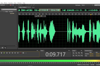 professionally edit, mix, master your podcast audio video