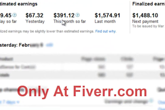 guaranteed 127 High Converting Visitors that are adsense safe traffic