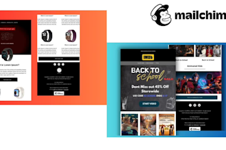 create a professional mailchimp email newsletter template
