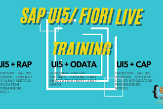 provide full stack sap ui5 fiori rap cds btp hana live training