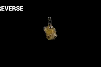 edit professional videos for your brand