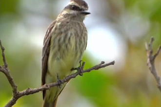 edit vedio for instagram