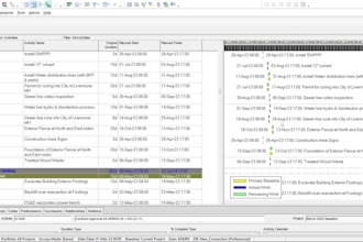 prepare a schedule using primavera p6 or ms project