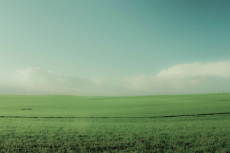make the photo into a dark ambient dreamscape picture