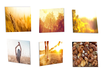 create promo video for your instagram profile
