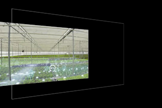 do vfx, rotoscope, tracking and compositing