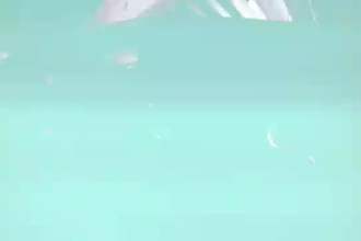 edit music videos for hip hop, rap, trap, and vfx