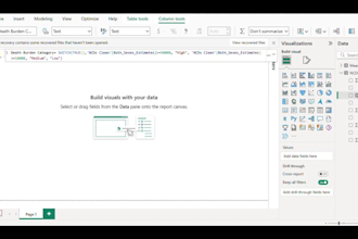 do complete power bi dashboards with data cleaning, dax, analysis