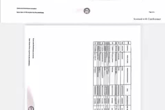 be your virtual assistant for data entry, data mining, copy paste, web research