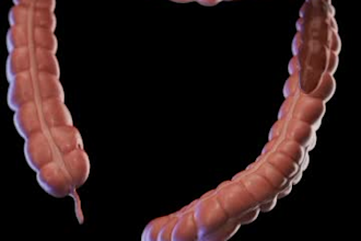do 3d bio medical cgi infographic skeleton drug animation neurology illustration