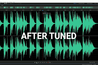 remove noise and tune vocal with effects