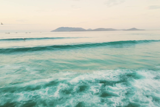 animate your still images into video and will do them alive