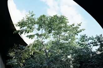 render 3d architectural animations in lumion and twinmotion