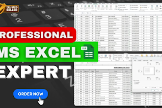 be your advance microsoft excel expert for formula, graph, report, macro, help