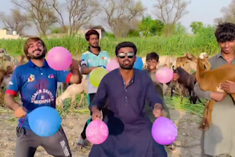 wish african happy birthday video funny birthday video