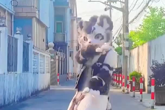 do you furry video comic dance anime art cinemagrahp chill art loop video