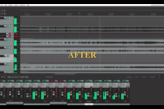 mix and master your song or multitrack recordings