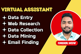 do data entry, data scraping, copy paste, PDF to excel, email leads in low price