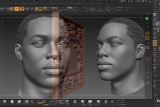 custom 3d models for printing 3d sculpting and modeling toys, objects, character