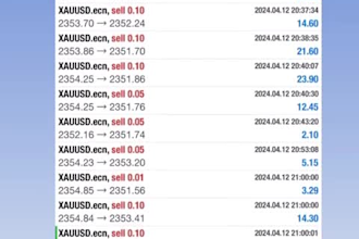 a well set up forex trading bot, crypto trading bot, forex trading robot, ea
