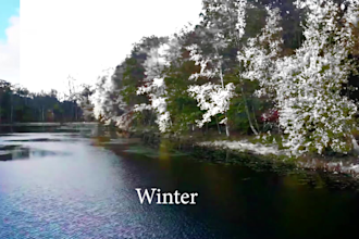 change the colors of your video