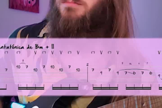 transcribe a song or a part of it to tab or music sheet