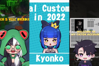custom a pngtuber for your streams and video content