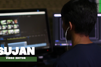 create any blog, script or any text into professional video in just 12 hours