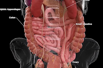create immersive 3d medical animation, surgery animation, 3d animation, anatomy