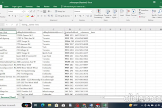 do data entry, data copy paste, data analysis, web scraping, pdf convert, excel